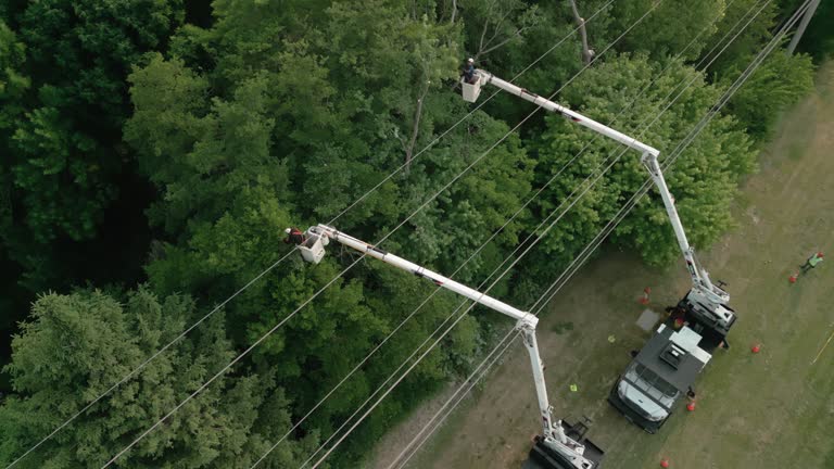 Best Seasonal Cleanup  in Clarkston, WA